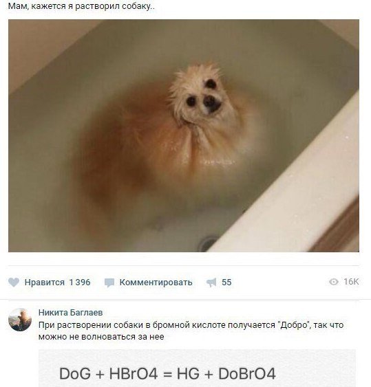 Забавные картинки