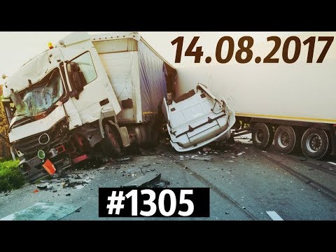 Дорожные войны №1305