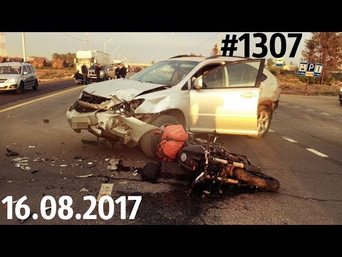 Дорожные войны №1307