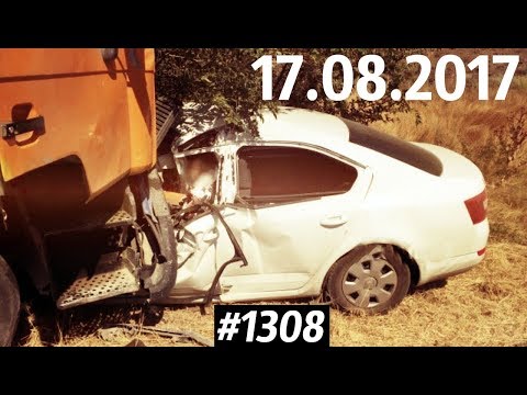 Дорожные войны №1308