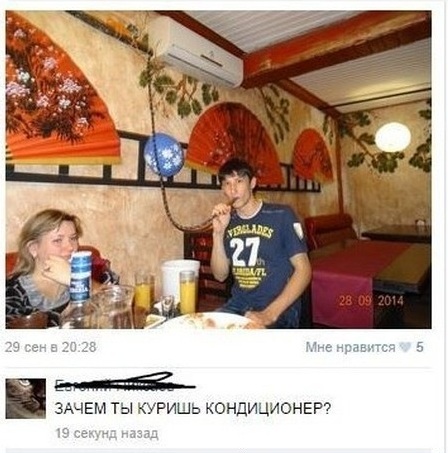 Забавные картинки