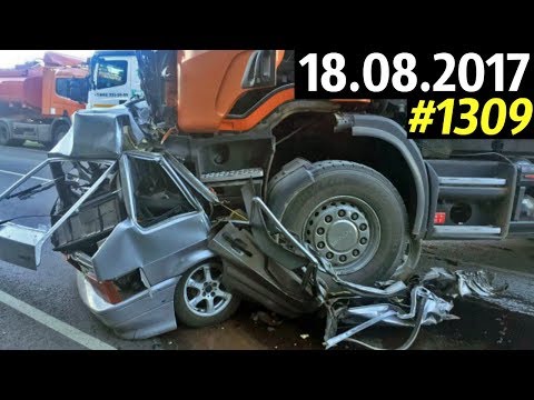Дорожные войны №1309