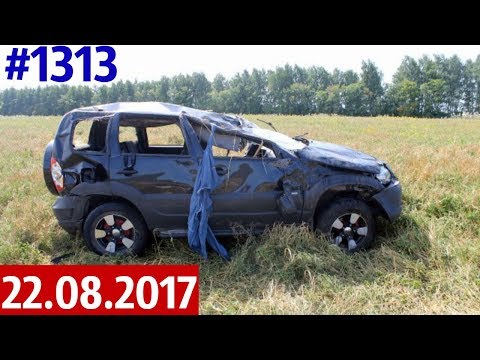 Дорожные войны №1313