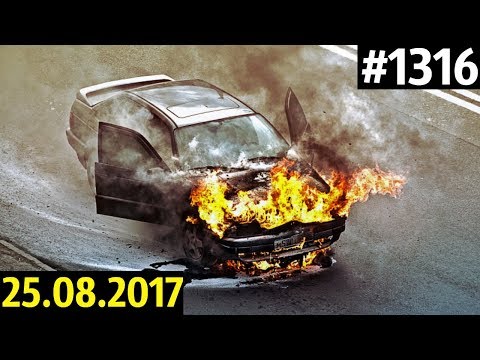 Дорожные войны №1316