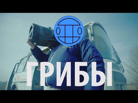 «Грибы» уходят