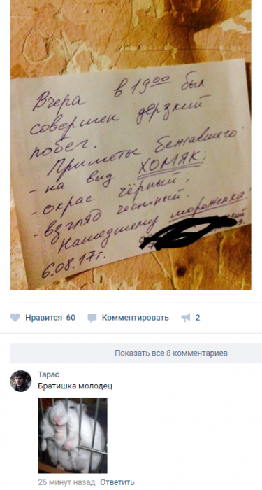 Забавные картинки