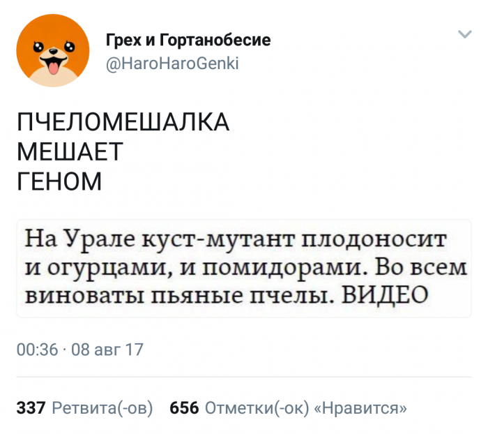 Забавные картинки