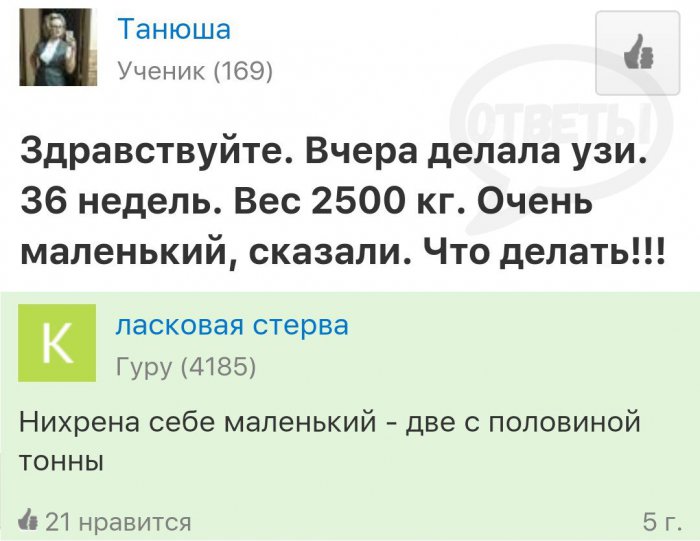 Забавные картинки