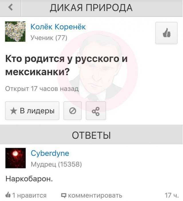 Забавные картинки