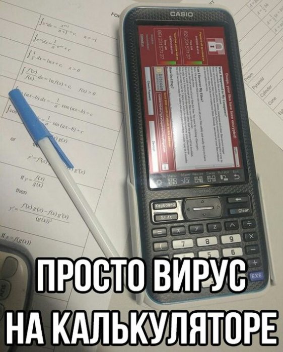 Забавные картинки
