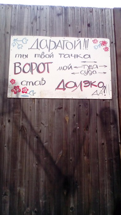 Забавные картинки