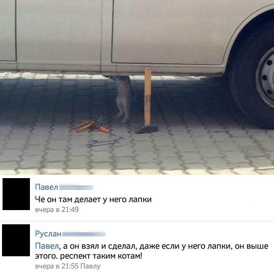 Забавные картинки