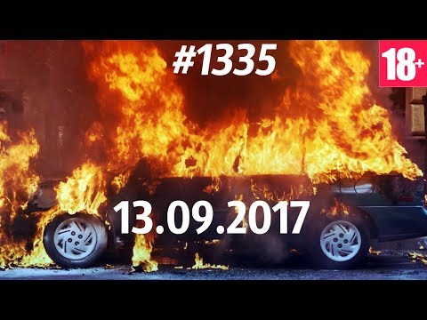 Дорожные войны №1335