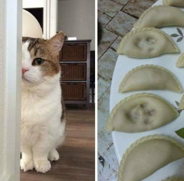 Забавные картинки
