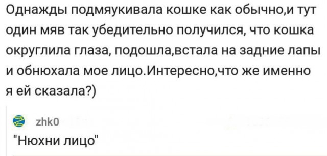 Забавные картинки