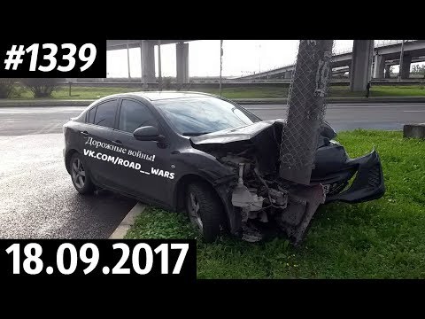 Дорожные войны №1339