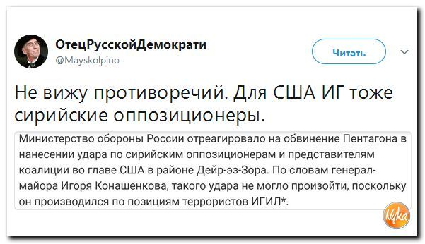 Забавные картинки