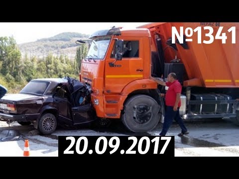 Дорожные войны №1341