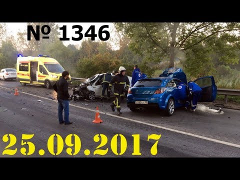 Дорожные войны №1346