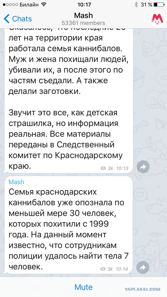 Телеграмм канал жесть дня. Каннибалы в Краснодарском крае. Каннибалы заготовки делали.