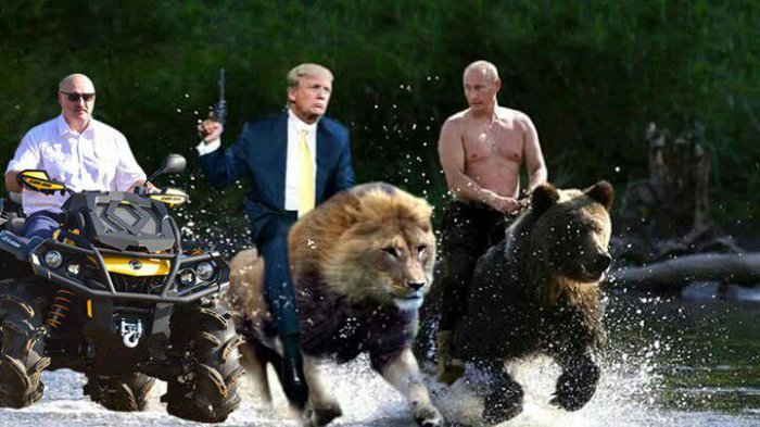 Забавные картинки