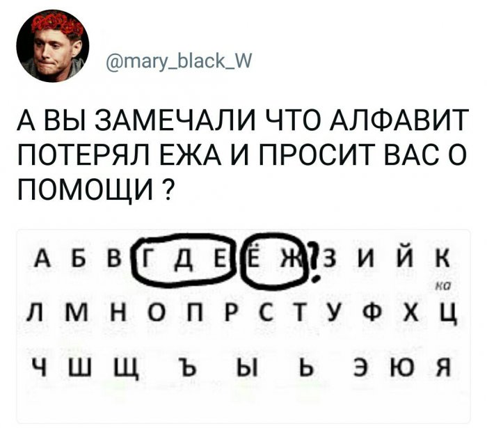 Забавные картинки
