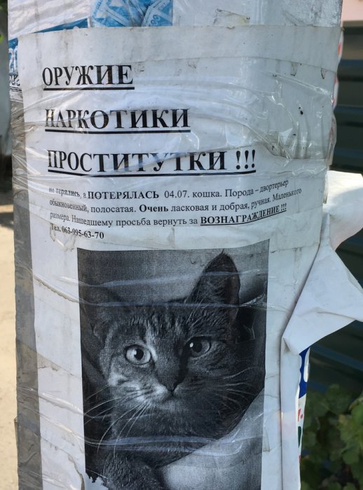 Забавные картинки