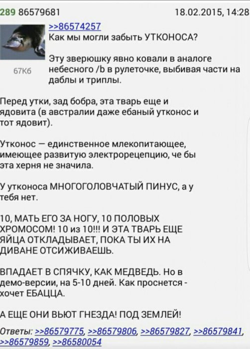 Забавные картинки