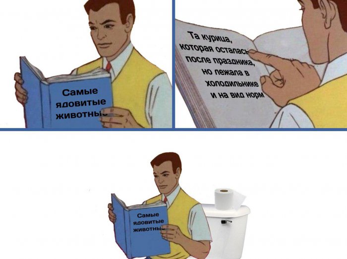 Забавные картинки
