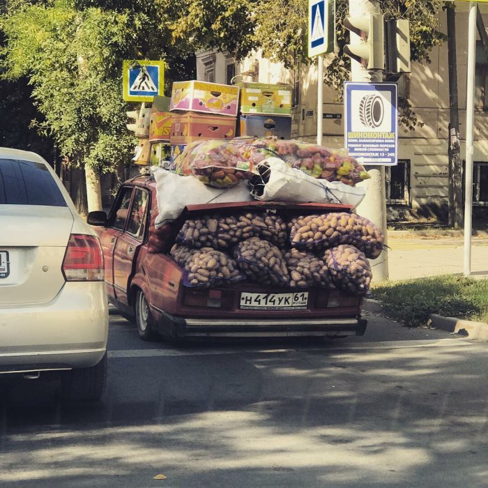 Забавные картинки