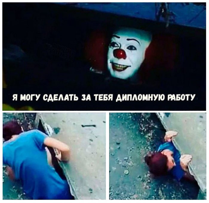 Забавные картинки