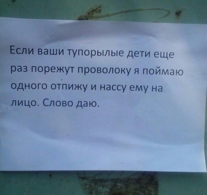 Забавные картинки
