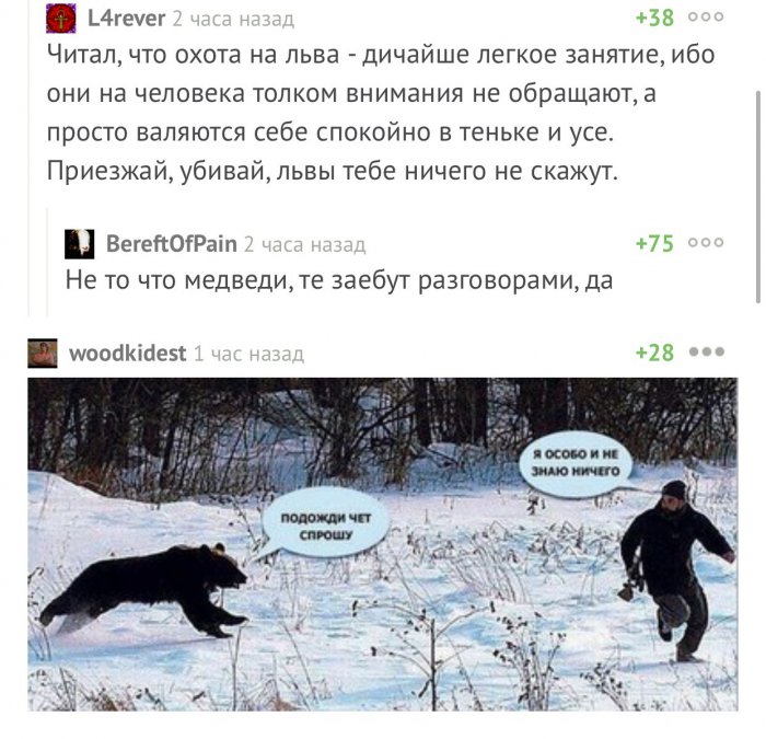 Забавные картинки