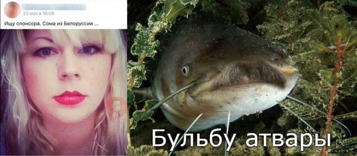 Забавные картинки