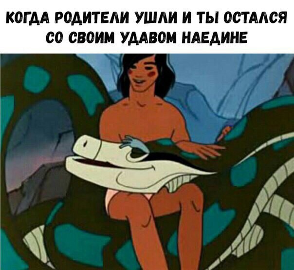 Забавные картинки