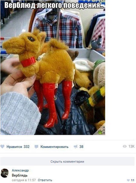 Забавные картинки