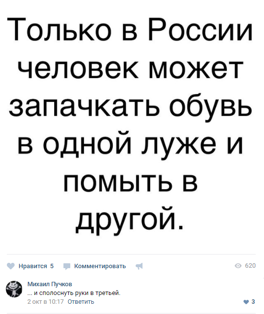 Забавные картинки
