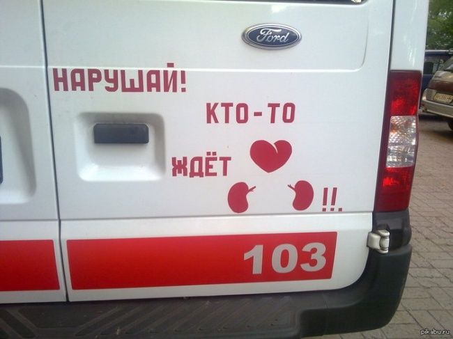 Забавные картинки