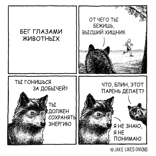Забавные картинки