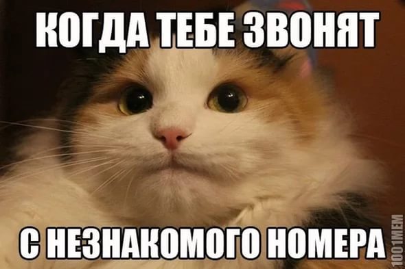 Незнакомые номера Незнакомые номера