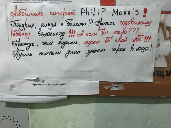 Забавные картинки