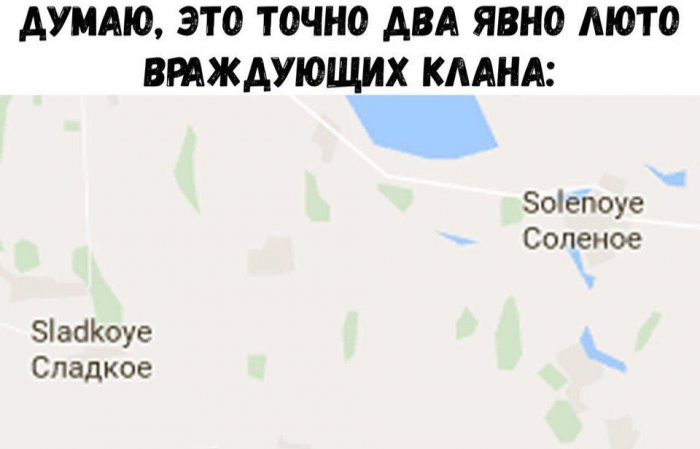 Забавные картинки