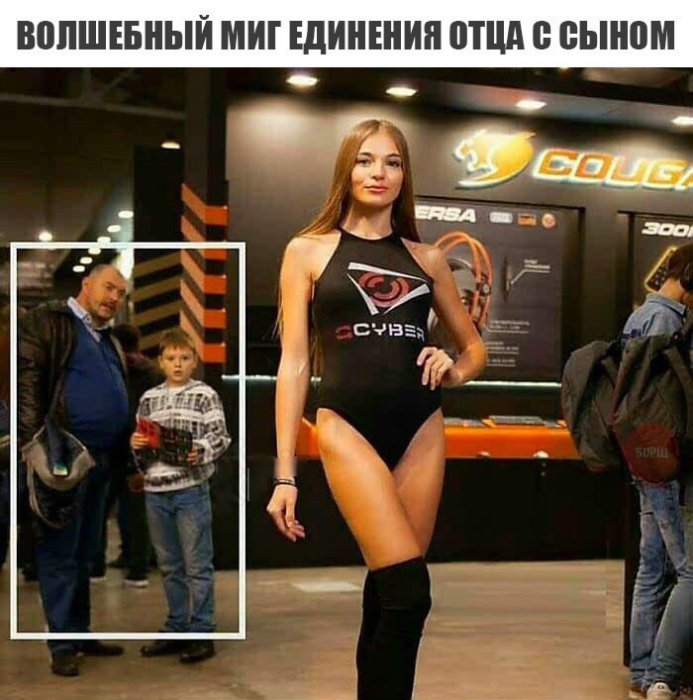 Забавные картинки