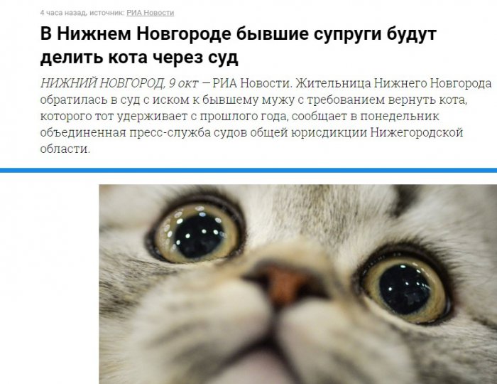 Забавные картинки