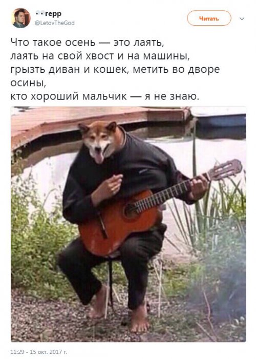 Забавные картинки