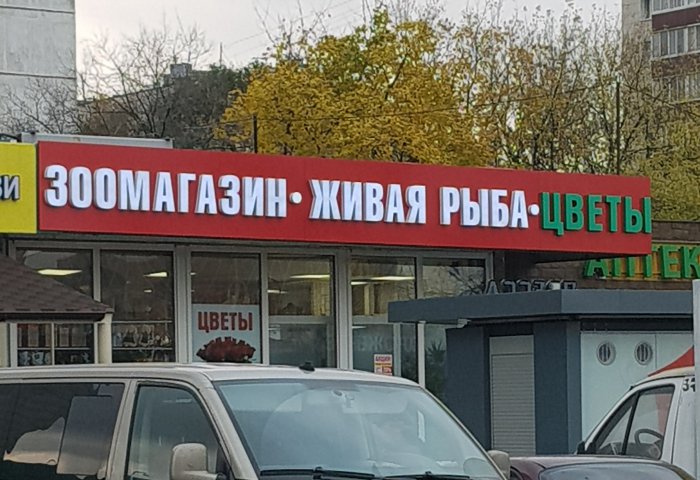 Забавные картинки