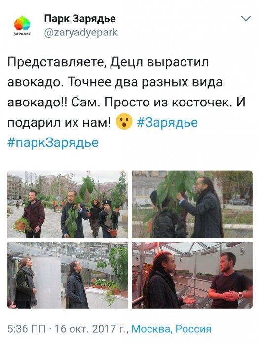 Забавные картинки