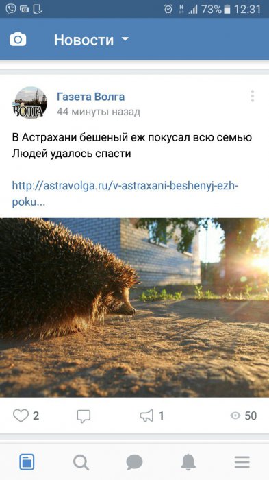 Забавные картинки