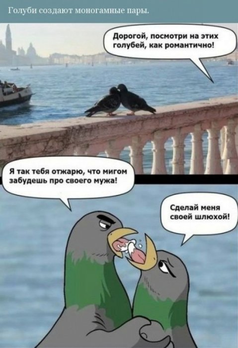 Забавные картинки