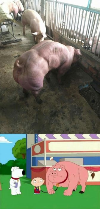 Забавные картинки